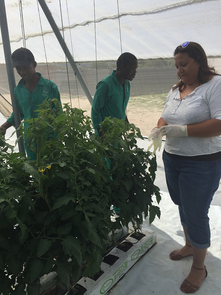 Students in the greenhouses tending plants, lots of good time spent in here.